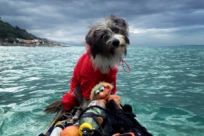 Собака Нирвана покоряет Средиземное море