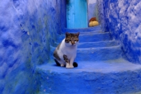 Тайна голубого города в Марокко