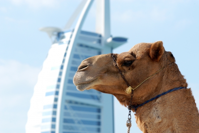 10 главных причин посетить Дубай