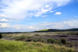 Природный резерват Сребырна