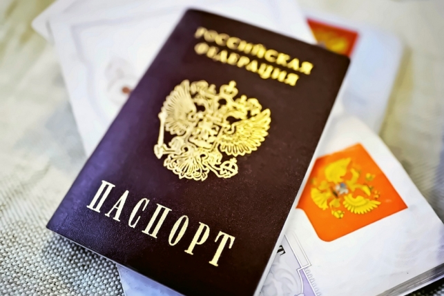 Что значит цвет твоего паспорта